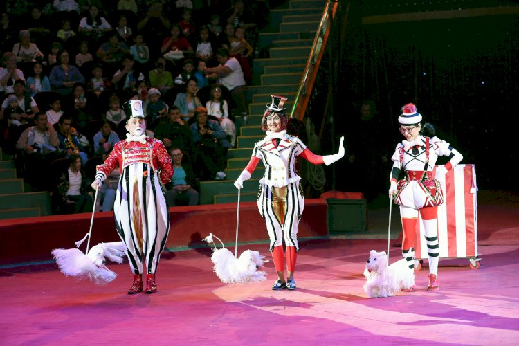 Алматинские волонтеры и артисты цирка подарили детям праздник
