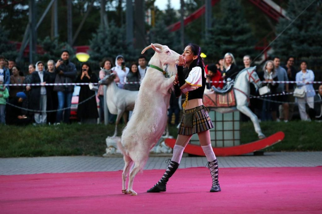 Казахский государственный цирк отпраздновал День города уникальным шоу «Цирк под открытым небом».